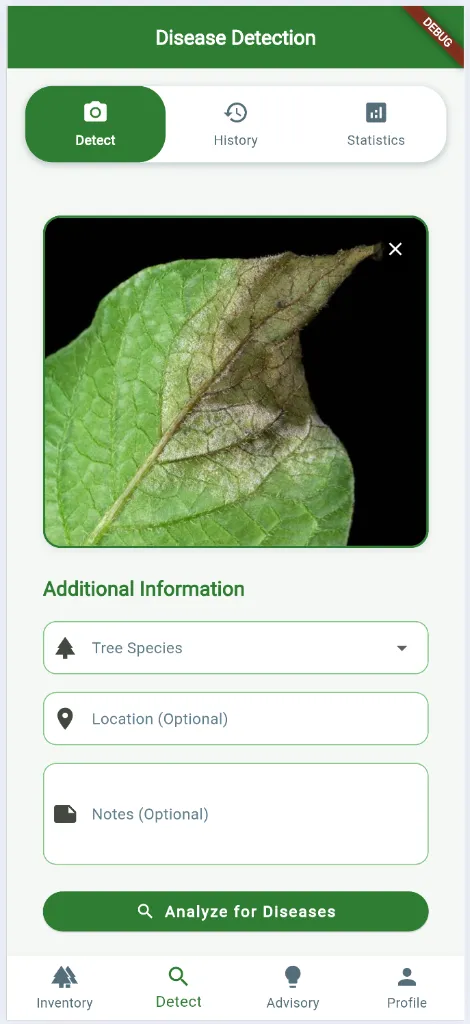 Detection Detail View