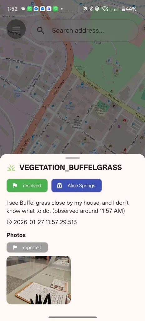 Detailed Report View